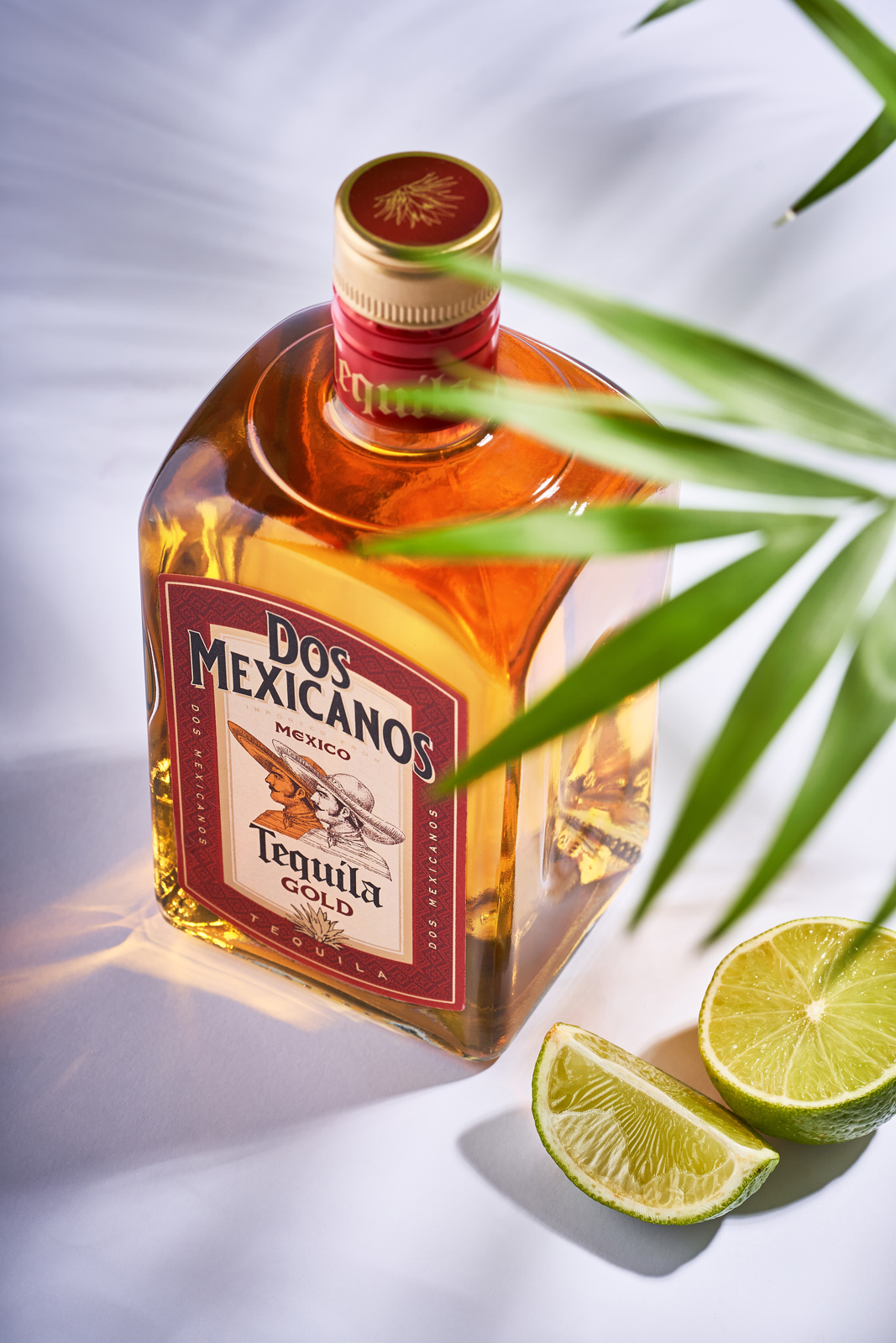 墨西哥龍舌蘭酒創新包裝這樣設計(圖8) 墨西哥龍舌蘭酒創新包裝這樣設計(圖8)