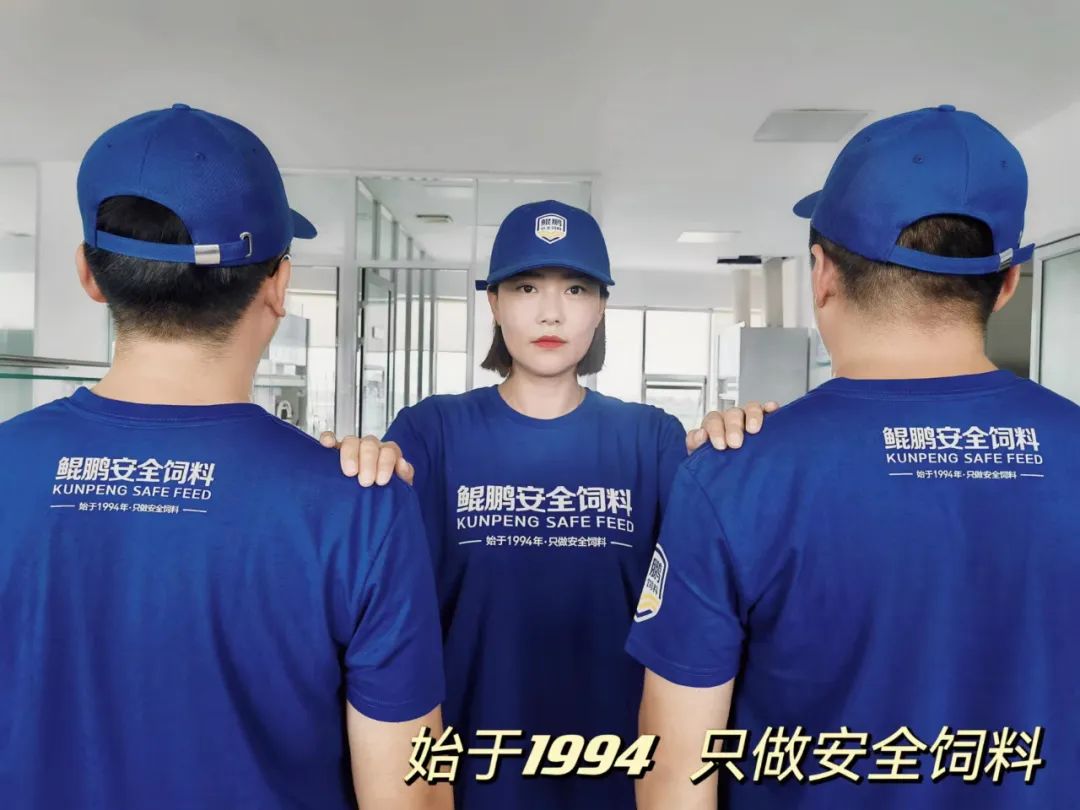 鯤鵬飼料品牌升級為鯤鵬安全飼料進一步強化品牌優勢(圖23)