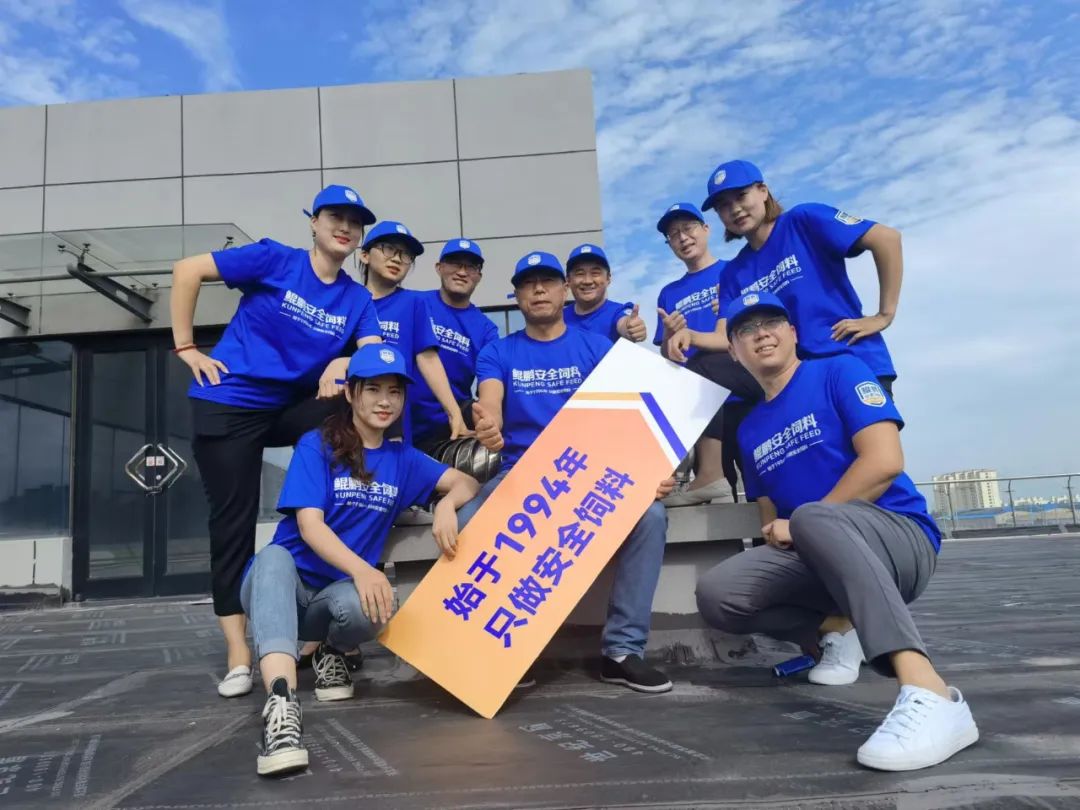 鯤鵬飼料品牌升級為鯤鵬安全飼料進一步強化品牌優勢(圖25)