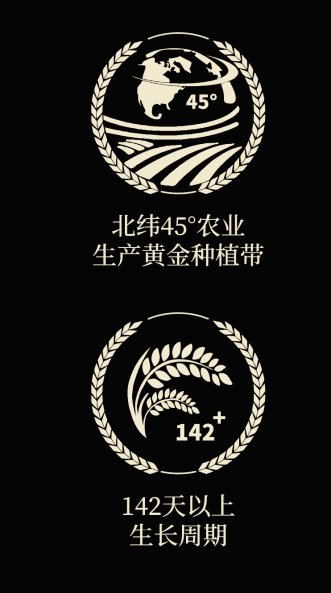 四喜如何通過(guò)包裝設(shè)計(jì),讓金鶴黑珍珠大米彰顯高端定位(圖4) 四喜如何通過(guò)包裝設(shè)計(jì),讓金鶴黑珍珠大米彰顯高端定位(圖4)