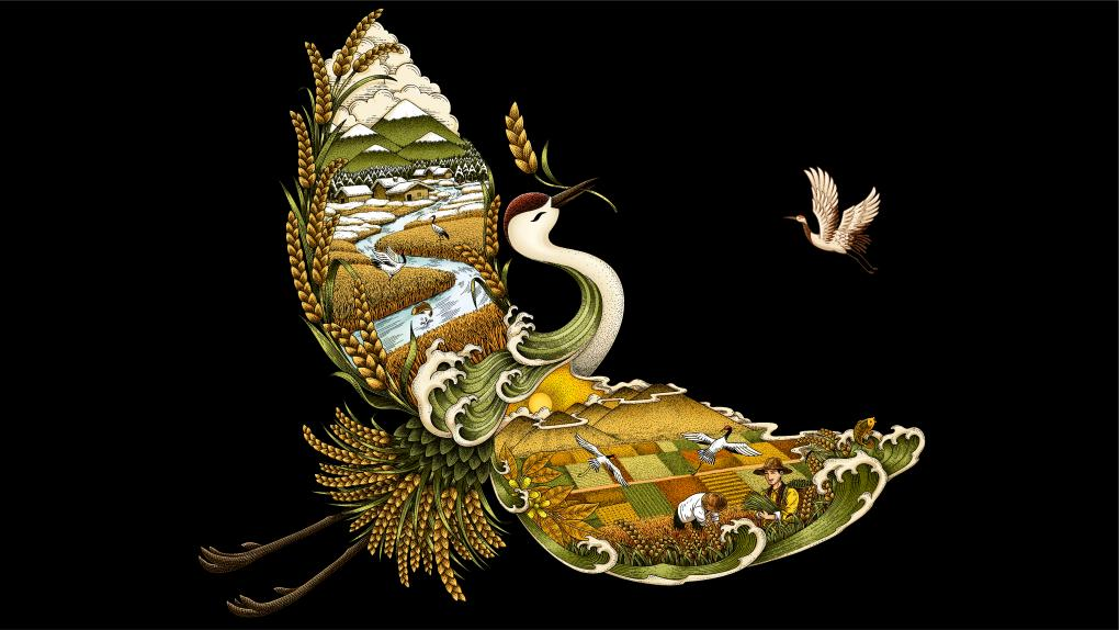 四喜如何通過(guò)包裝設(shè)計(jì),讓金鶴黑珍珠大米彰顯高端定位(圖6) 四喜如何通過(guò)包裝設(shè)計(jì),讓金鶴黑珍珠大米彰顯高端定位(圖6)