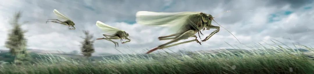 四喜：為什么說，成功營銷都是突破口營銷？(圖6)