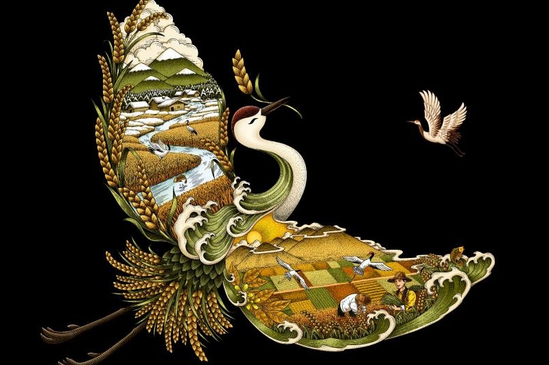 四喜如何通過包裝設計，讓金鶴黑珍珠大米彰顯高端定位