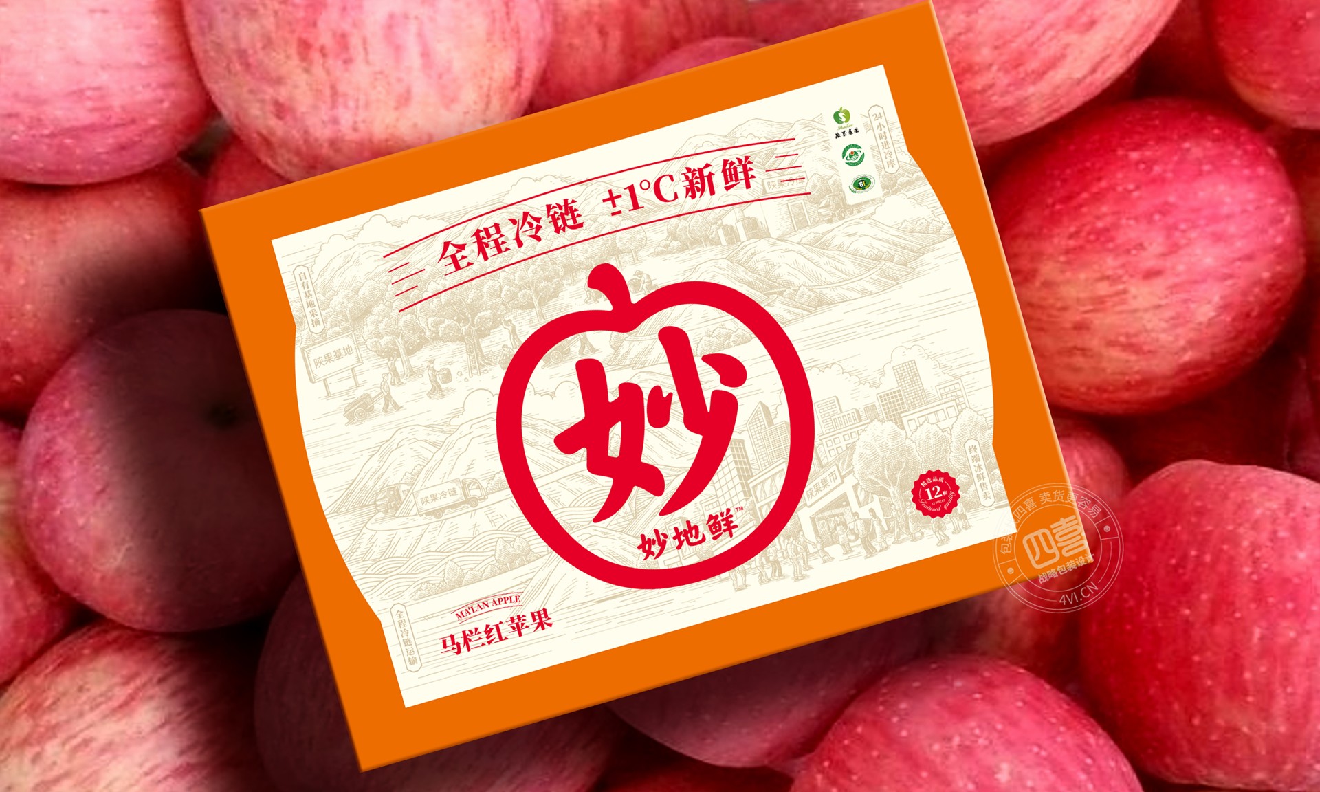 體驗(yàn)獨(dú)特的永州水果包裝設(shè)計(jì)，讓你的水果成為藝術(shù)品(圖1)