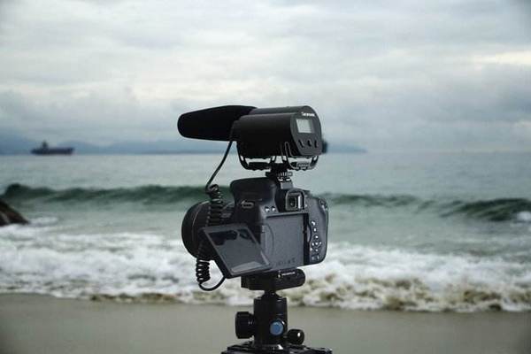 楓笛品牌logo設計欣賞與分析(圖1)