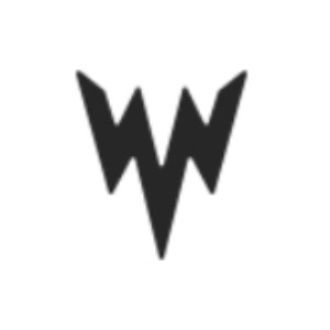 威澤品牌logo設計欣賞與分析(圖1)