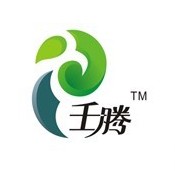 壬騰品牌logo設(shè)計欣賞與分析(圖1)