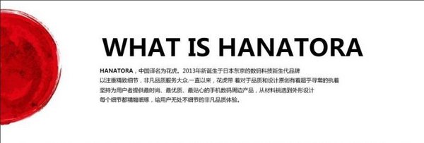 花虎品牌logo設計欣賞與分析(圖1) 花虎品牌logo設計欣賞與分析(圖1)