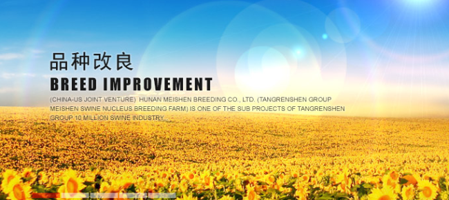 唐人神 TRS唐人神品牌logo與產(chǎn)品包裝設(shè)計欣賞(圖3)