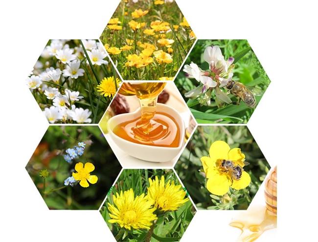 百信 BAIXIN百信食品包裝設計欣賞(圖3)